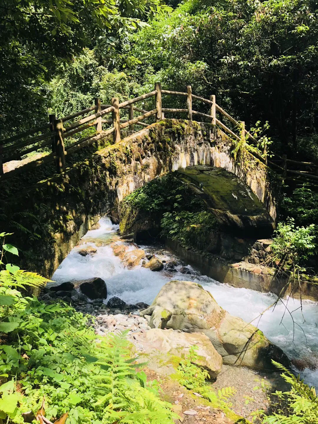 逃出诡异的塔楼